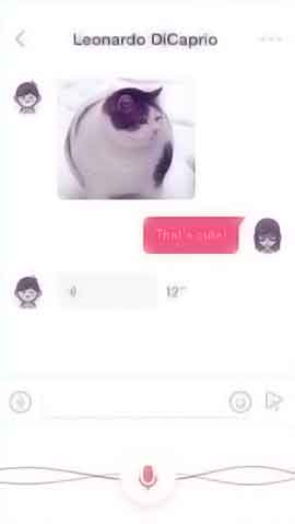 网页攻击器软件程序维护界面